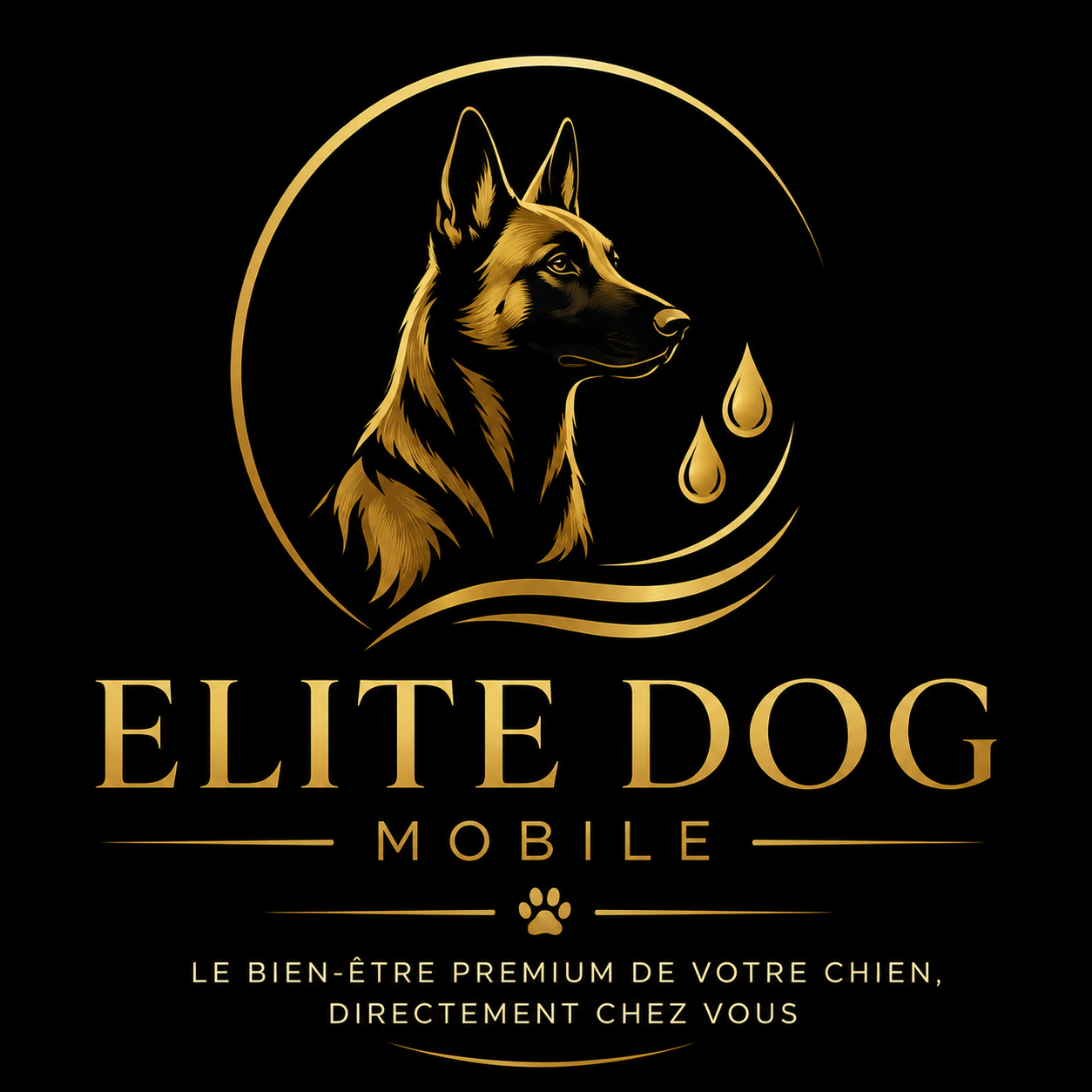 Elite Dog Mobile – Toilettage canin ambulant