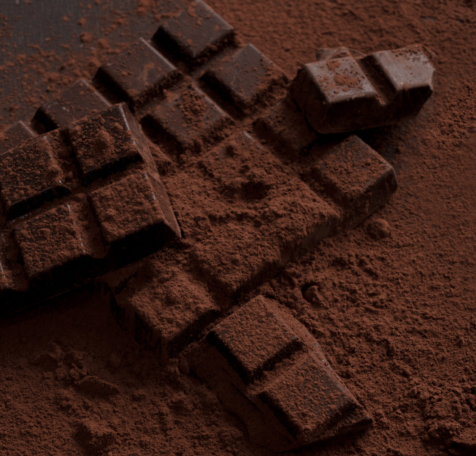 Blog top view of dark chocolate blocks crashed into pieces